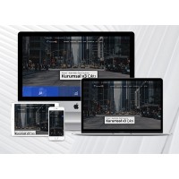 Finans / Danışmanlık Web Paketi Bizzy v3.0